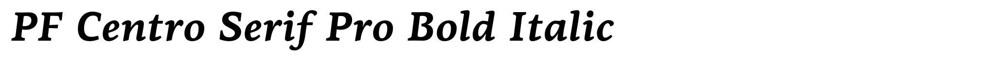 PF Centro Serif Pro Bold Italic image